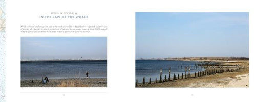 Load image into Gallery viewer, Archipelago New York by Schiffer Publishing

