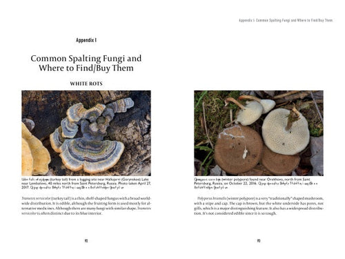 Load image into Gallery viewer, Spalting 101 by Schiffer Publishing
