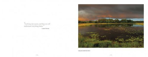 Load image into Gallery viewer, Pinelands by Schiffer Publishing
