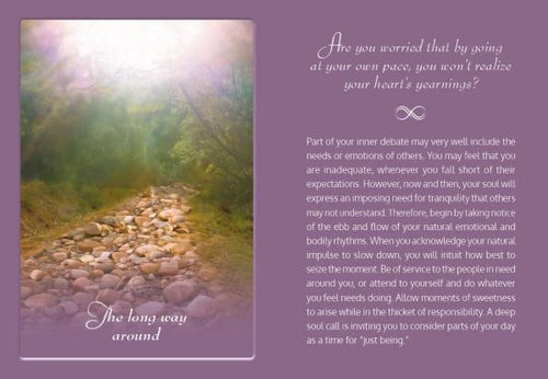 Load image into Gallery viewer, TLC for the Soul by Schiffer Publishing
