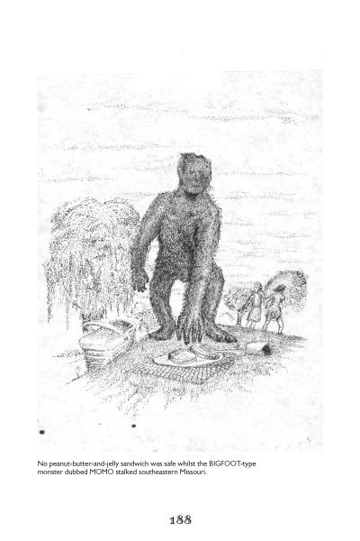 Load image into Gallery viewer, Paranormal Mississippi River by Schiffer Publishing

