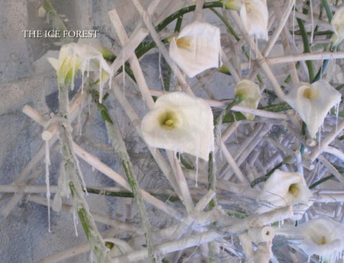 Load image into Gallery viewer, Taking the Flower Show Home by Schiffer Publishing
