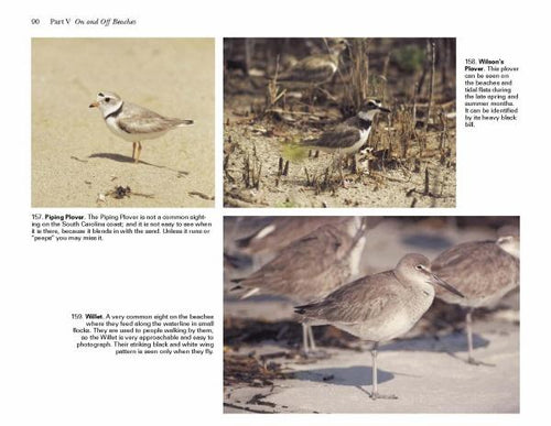 Load image into Gallery viewer, Birds of Coastal South Carolina by Schiffer Publishing
