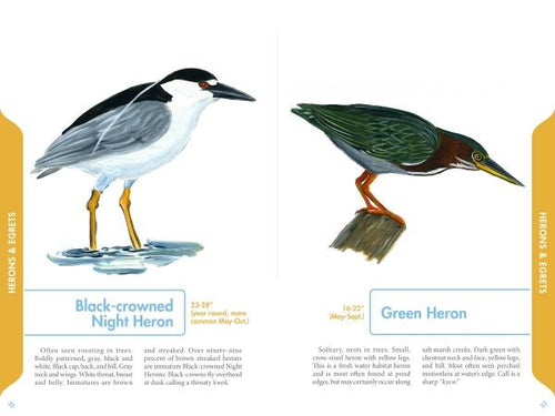 Load image into Gallery viewer, An Illustrated Guide to the Common Birds of Cape Cod by Schiffer Publishing
