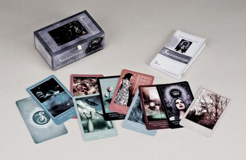Load image into Gallery viewer, Inspirations for Survivors by Schiffer Publishing
