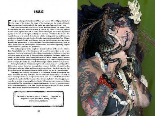 Load image into Gallery viewer, Justice Howard's Voodoo by Schiffer Publishing
