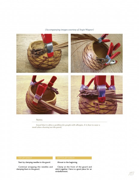 Load image into Gallery viewer, Creative Rims for Gourd Art by Schiffer Publishing
