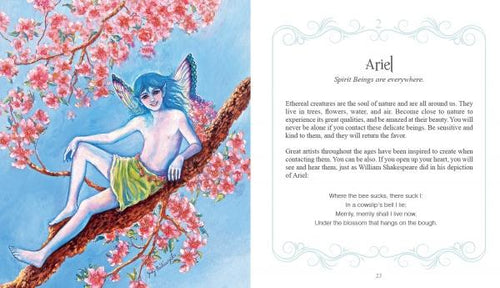 Load image into Gallery viewer, Inspirational Visions Oracle Cards by Schiffer Publishing
