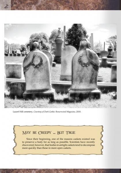 Load image into Gallery viewer, Cemetery Gates by Schiffer Publishing
