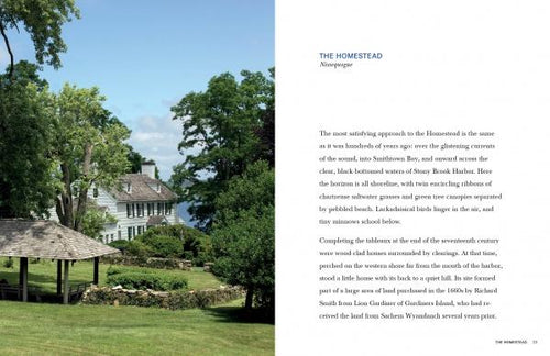 Load image into Gallery viewer, Americana by Schiffer Publishing
