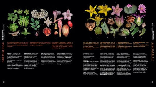 Load image into Gallery viewer, Atlas of Flowering Plants by Schiffer Publishing
