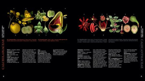 Load image into Gallery viewer, Atlas of Flowering Plants by Schiffer Publishing

