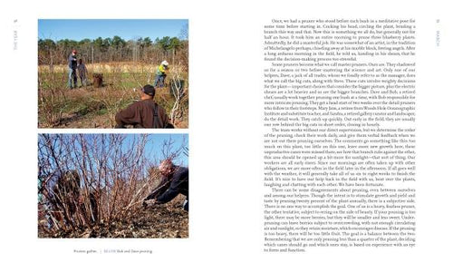 Load image into Gallery viewer, Out in Blue Fields by Schiffer Publishing
