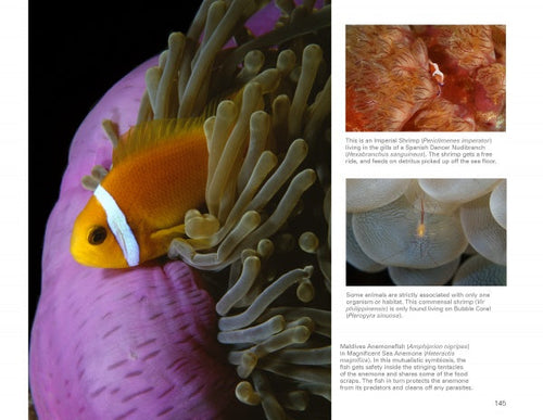 Load image into Gallery viewer, Underwater Photography by Schiffer Publishing
