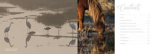 Load image into Gallery viewer, Natural Wonders of Assateague Island by Schiffer Publishing
