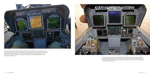 Load image into Gallery viewer, Legacy Hornets by Schiffer Publishing
