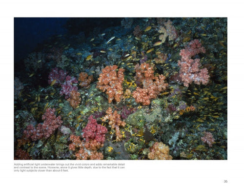 Load image into Gallery viewer, Underwater Photography by Schiffer Publishing
