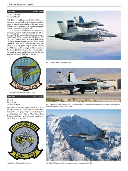 Load image into Gallery viewer, The Boeing F/A-18E/F Super Hornet &amp; EA-18G Growler by Schiffer Publishing
