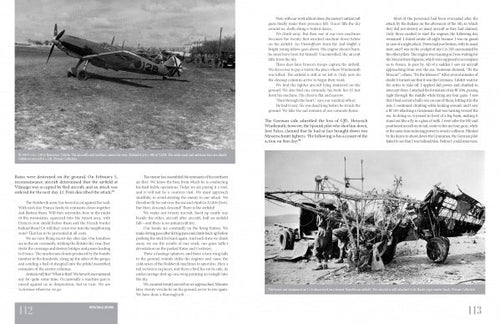 Load image into Gallery viewer, German Eagles in Spanish Skies by Schiffer Publishing
