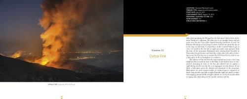 Load image into Gallery viewer, Terra Flamma by Schiffer Publishing

