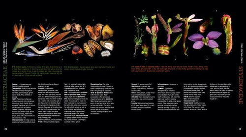 Load image into Gallery viewer, Atlas of Flowering Plants by Schiffer Publishing
