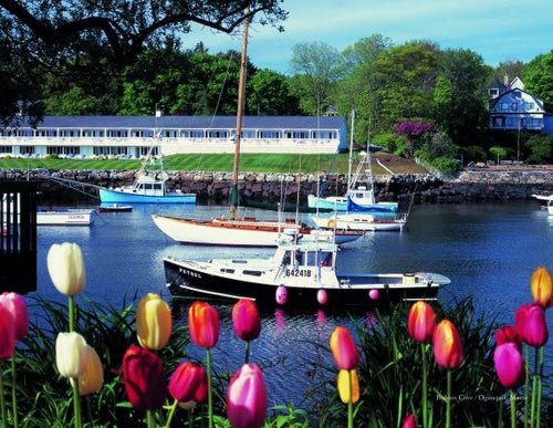 Load image into Gallery viewer, New England by Schiffer Publishing
