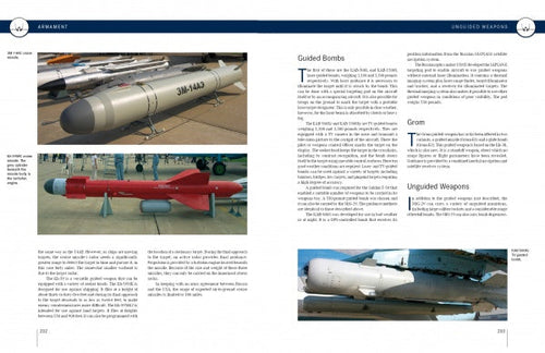 Load image into Gallery viewer, The MiG-29 by Schiffer Publishing

