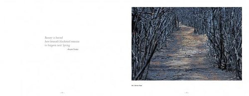 Load image into Gallery viewer, Pinelands by Schiffer Publishing
