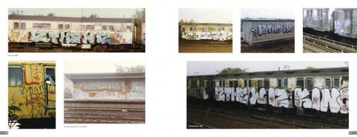 Load image into Gallery viewer, From the Platform 2 by Schiffer Publishing
