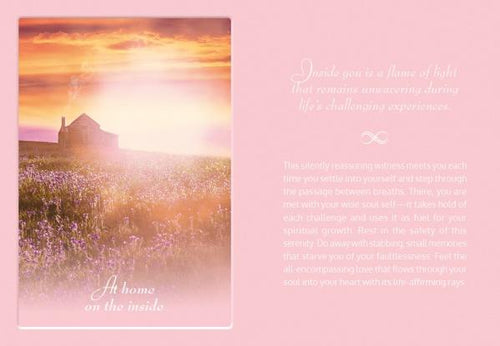 Load image into Gallery viewer, TLC for the Soul by Schiffer Publishing
