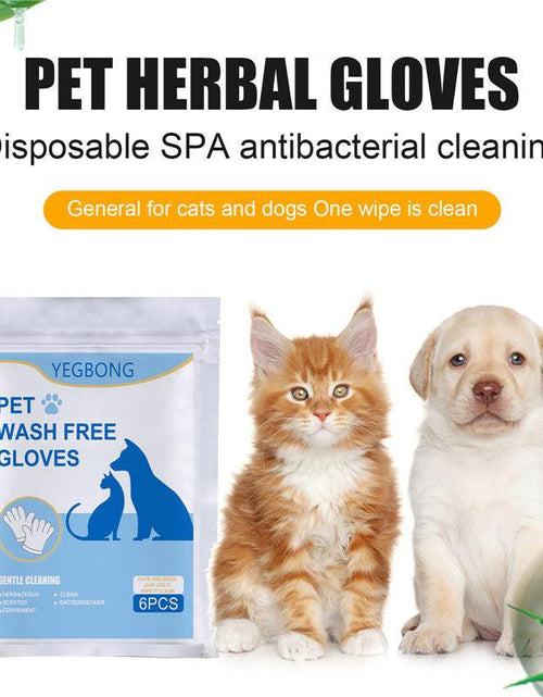 Load image into Gallery viewer, Pet Care Essentials: 6-Pack Of Disposable Non-Woven Gloves For A Clean And Happy Home by Dog Hugs Cat
