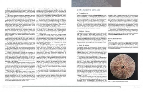 Load image into Gallery viewer, Collector's Guide to Texas Cretaceous Echinoids by Schiffer Publishing
