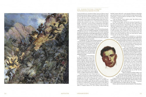 Load image into Gallery viewer, Valor in Action by Schiffer Publishing
