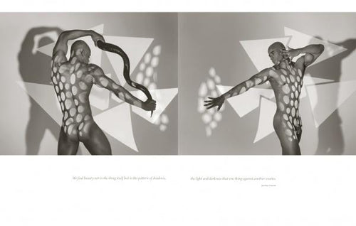 Load image into Gallery viewer, Peak of Perfection by Schiffer Publishing
