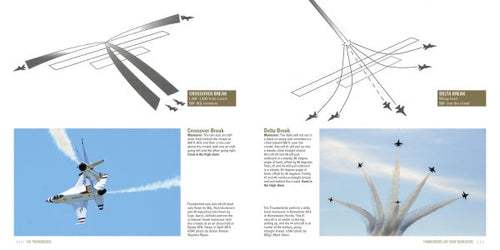Load image into Gallery viewer, The Thunderbirds by Schiffer Publishing
