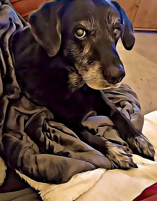 Load image into Gallery viewer, Cartoonize Your Photo's Perfect Gift Upload Your Own Images by WinsterCreations™ Official Store
