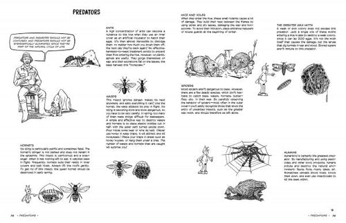 Load image into Gallery viewer, The Graphic Guide to Beekeeping by Schiffer Publishing
