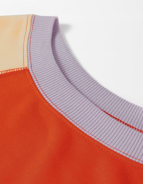 Load image into Gallery viewer, Color Block Round Neck Long Sleeve Sweatshirt

