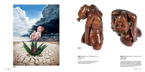 Load image into Gallery viewer, Icons &amp; Symbols of the Borderland by Schiffer Publishing
