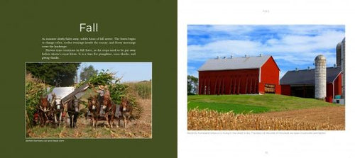 Load image into Gallery viewer, Seasons of Lancaster County by Schiffer Publishing
