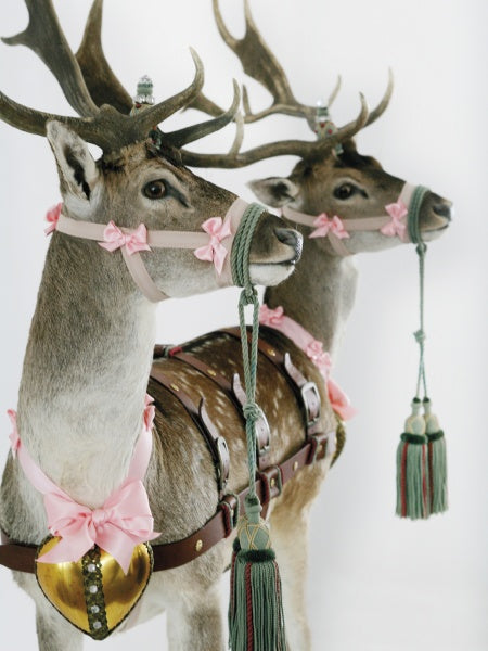 Load image into Gallery viewer, Humor in Craft by Schiffer Publishing
