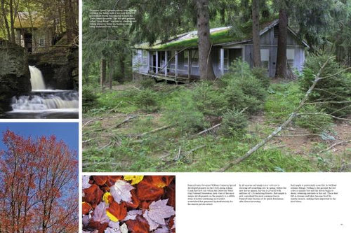Load image into Gallery viewer, The Poconos by Schiffer Publishing
