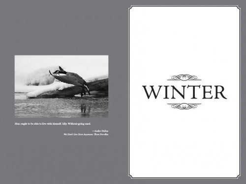 Load image into Gallery viewer, Fly Fishing the Tidewaters of Maryland's Chesapeake Bay by Schiffer Publishing
