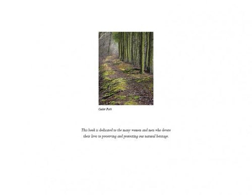 Load image into Gallery viewer, Pinelands by Schiffer Publishing
