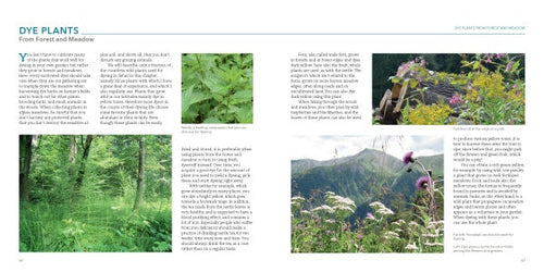 Load image into Gallery viewer, Natural Dyeing with Plants by Schiffer Publishing
