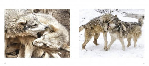 Load image into Gallery viewer, Wolf Sanctuary by Schiffer Publishing
