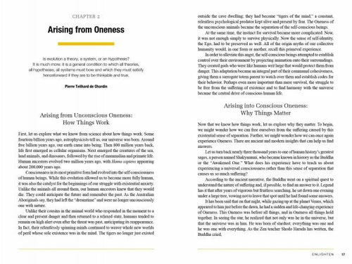 Load image into Gallery viewer, The Three Principles of Oneness by Schiffer Publishing
