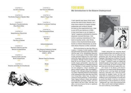 Load image into Gallery viewer, Eric Stanton &amp; the History of the Bizarre Underground by Schiffer Publishing
