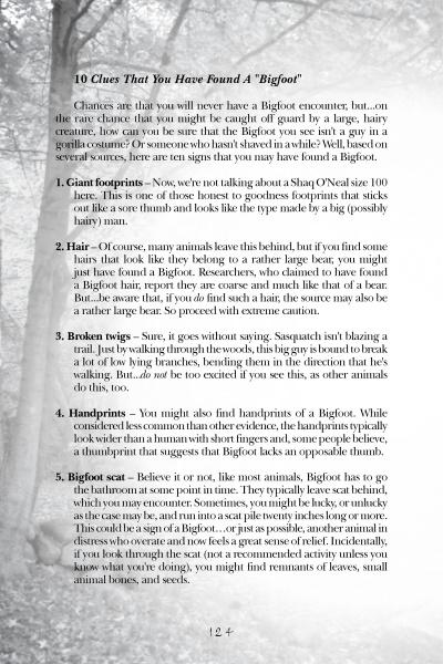 Load image into Gallery viewer, North Shore Spirits of Massachusetts by Schiffer Publishing
