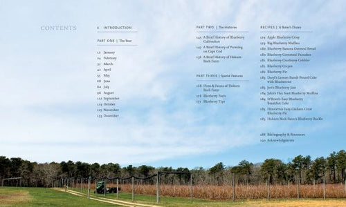Load image into Gallery viewer, Out in Blue Fields by Schiffer Publishing
